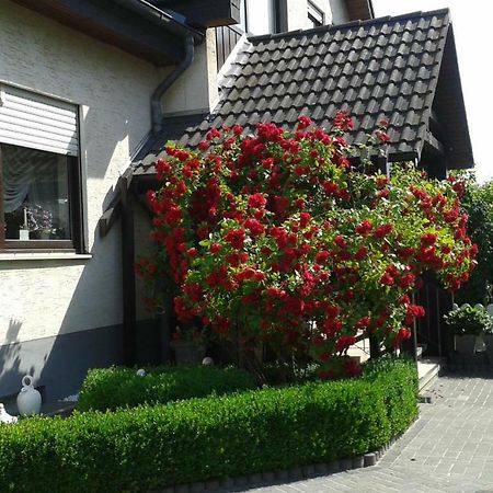 Ferienwohnung Raupe Fritzlar Exterior foto